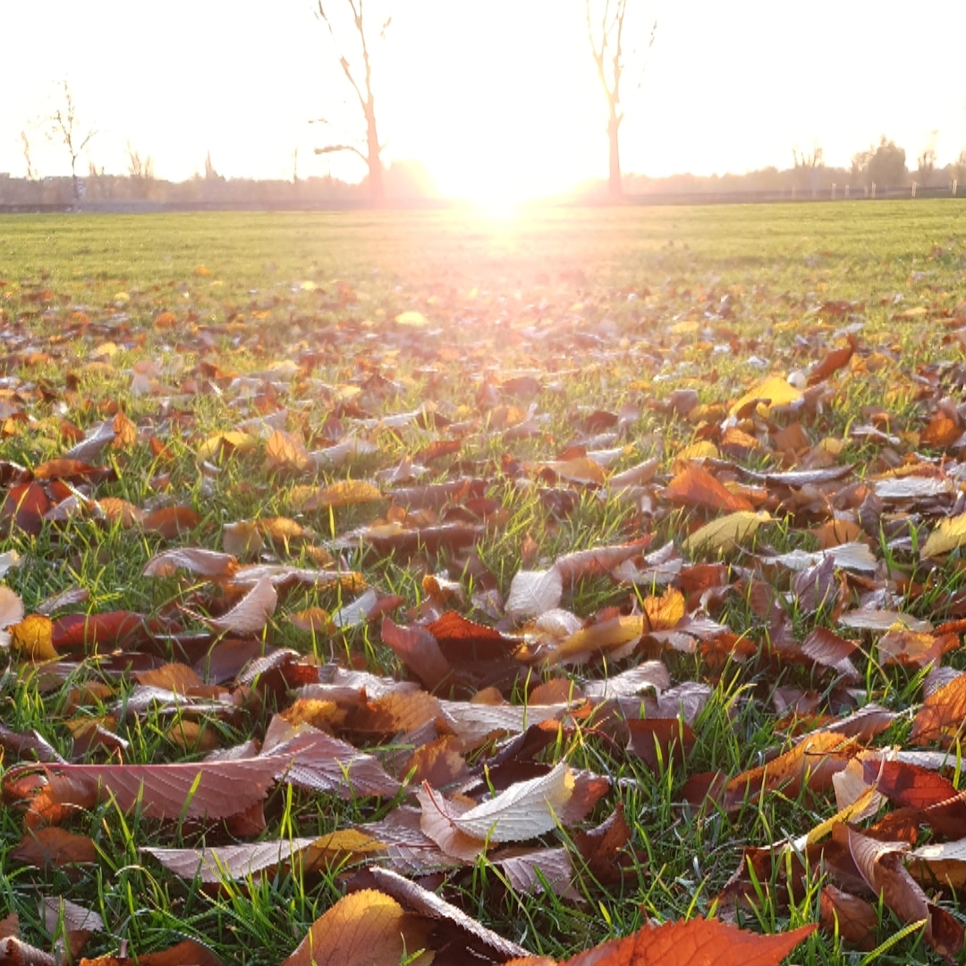 Düsseldorf on a cold fall afternoon!